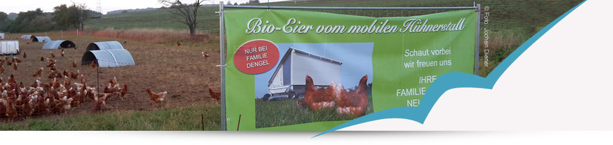 Regionale Streuobst- und Bienenerzeugnisse jetzt auch online erhältlich!